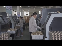 Beishun Brisk Federproduktionslinie