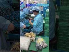 40 100 Mikronen Ganzes Haus Spin Down Sediment Doppelfiltration Sediment Vorfilter Wiederverwendbar