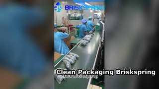 Die äußerst saubere und organisierte Verpackungslinie von BRISKSPRING