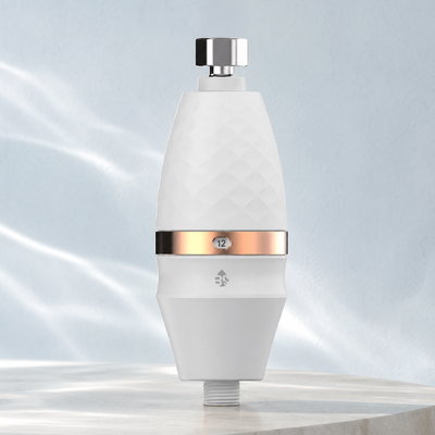 BriskSpring M2-A 1/2 Zoll Duschwasserreiniger mit 316L Edelstahl-Gitter und Silberaktivierter Kohlenstoff MSAP KDF für eine hocheffiziente Filtration