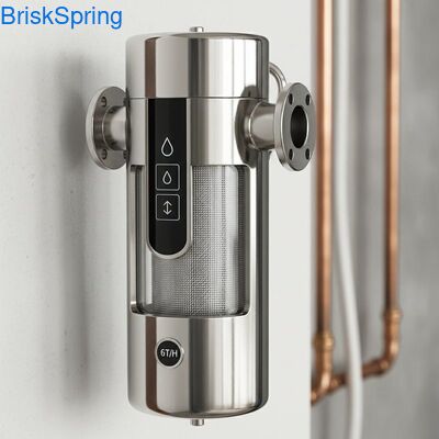 Hochstrom 6T H 316L Edelstahlnetz-Wasservorfilter für das ganze Haus mit Berührungssteuerung