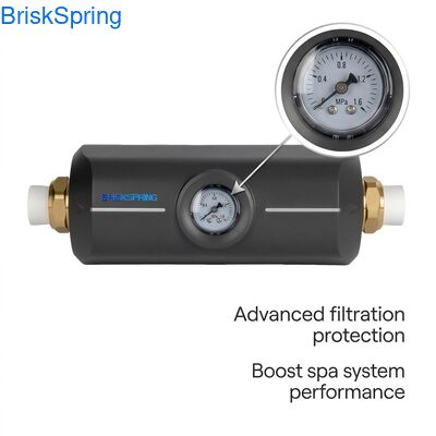 Wartungsfreier physikalischer Wasserentkalker zur Hemmung von Wasserablagerungen für Spa- und Filtersysteme