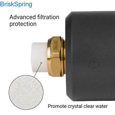 Wartungsfreier physikalischer Wasserentkalker zur Hemmung von Wasserablagerungen für Spa- und Filtersysteme