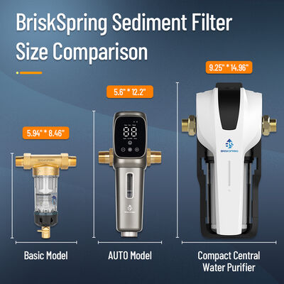 BriskSpring N1-2C-BS Kompakter zentraler Wasserreiniger mit 3 T/H Durchflussrate und Schnellwechselkartusche für 50.000 L Kapazität