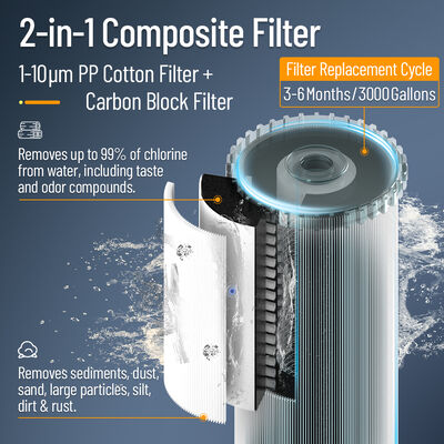 BriskSpring N1-2C-BS Kompakter zentraler Wasserreiniger mit 3 T/H Durchflussrate und Schnellwechselkartusche für 50.000 L Kapazität