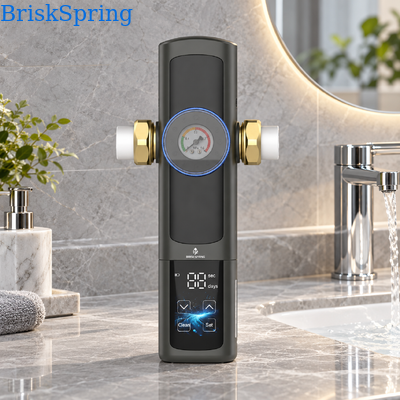 Dual-Core Disc Water Pre-Filter with 10 m³/h High Flow and Automatic Flushing for Whole House Sediment Pre-Filter