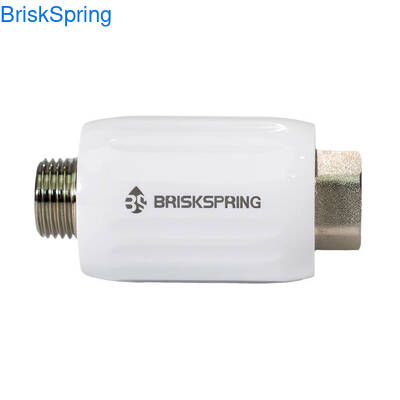 Reine physikalische Ionenpolarisierungstechnologie Wasseraufwärmer mit 17-23,5 L/Min Durchfluss und NSF, RoHS, SGS, CE-Zertifizierung für die gesamte Hauswasser-Skala-Inhibition