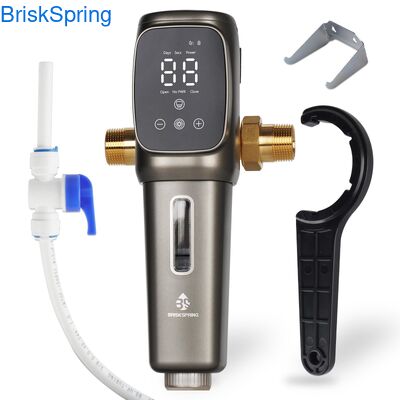 Ganz Haus 316L Edelstahlnetz Vorwasserfilter mit Smart Touch Control 6T H Durchflussrate