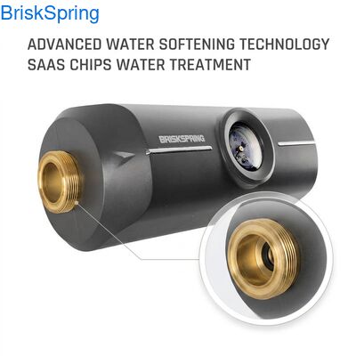 Langlebiger Wasserenthärter-Entkalker für die Wassersicherheit mit SAAS-Chips für Hauswasseranlagen