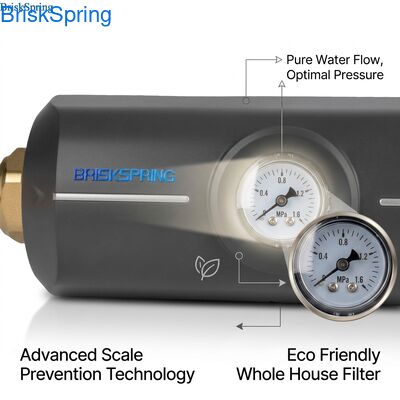 Umweltfreundlicher, ungiftiger ABS-Körper, Anti-Kalk-Filter, Wasserenthärter für das ganze Haus