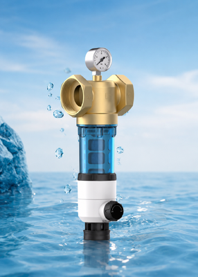 BriskSpring T1-Z2-BS Doppelseitiger Schabefilter für das gesamte Haus mit 40-Mikron-Filterung und Manometer