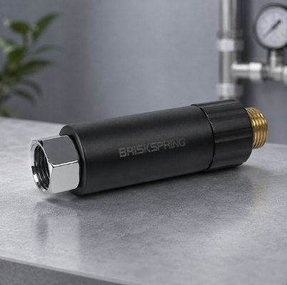 BriskSpring M80-BS MSAP Bioaktiver Anti-Schale-Wasserfilter mit austauschbarer Patrone und 400-Mikron-Präzisionsfiltration