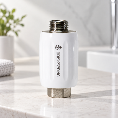 Salzfreier, kompakter Inline-Wasseraufwärmer mit hocheffizienter Kalkschale-Prävention für den Heimgebrauch